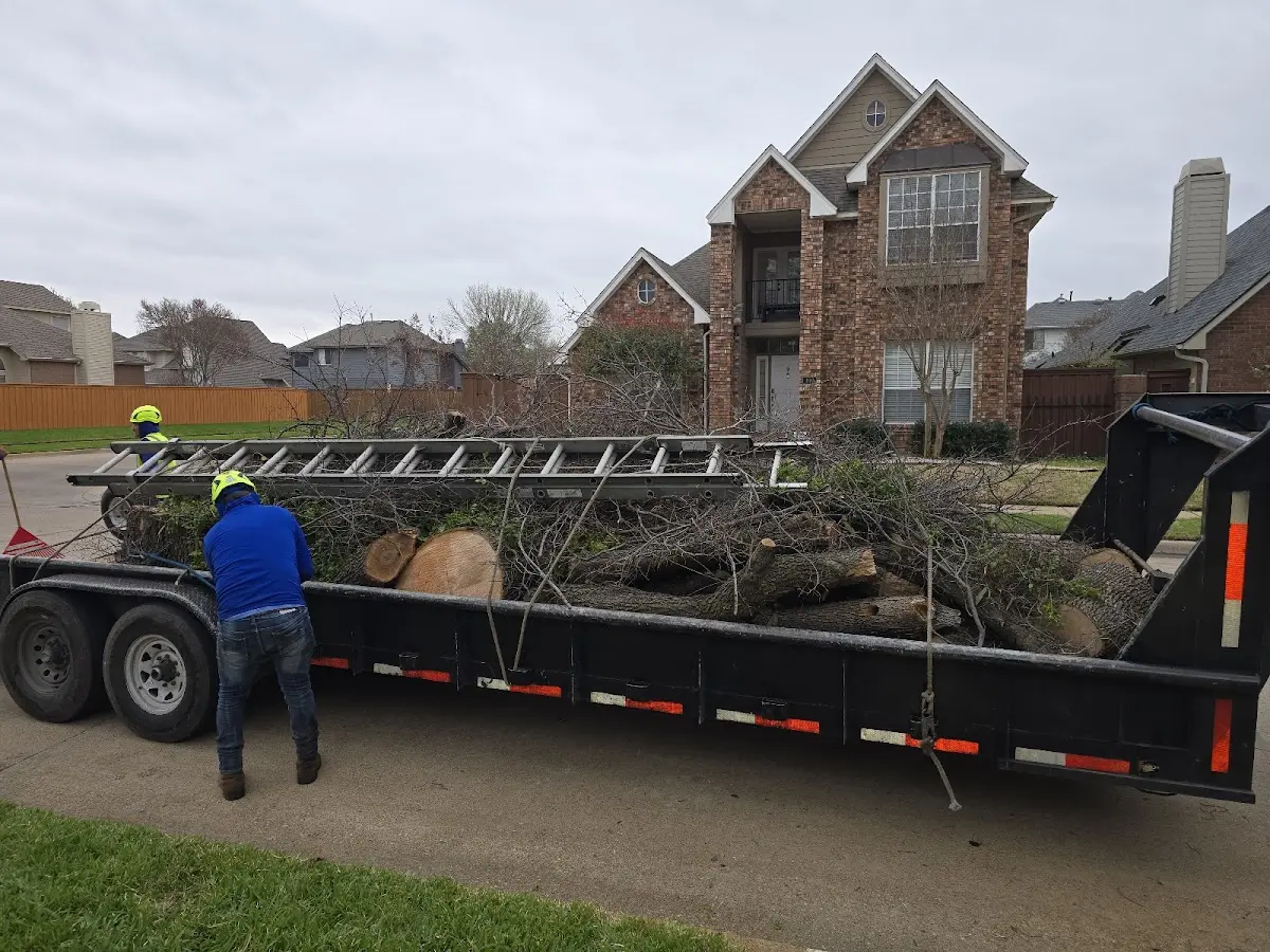 Expert Tree Pest Control with proper safety equipment in Buffalo Junction